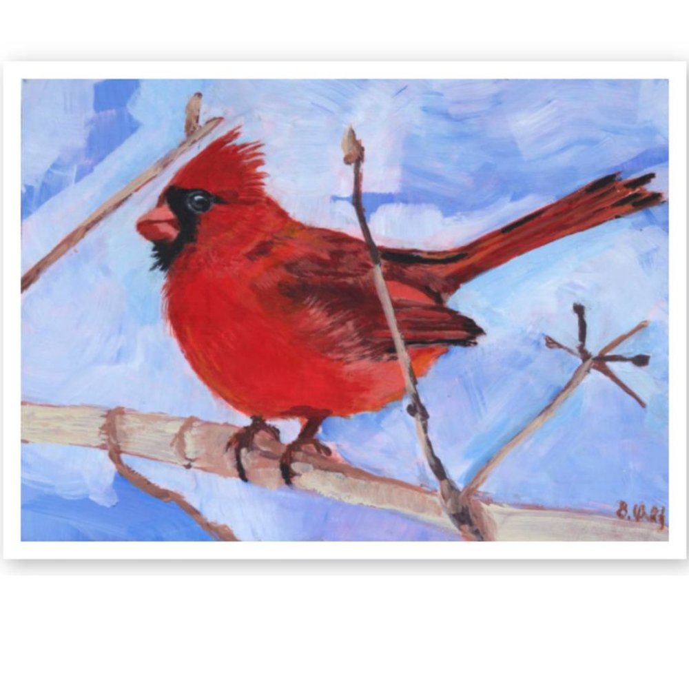 Fine art Print off Cardinal Bird 8" x 10"